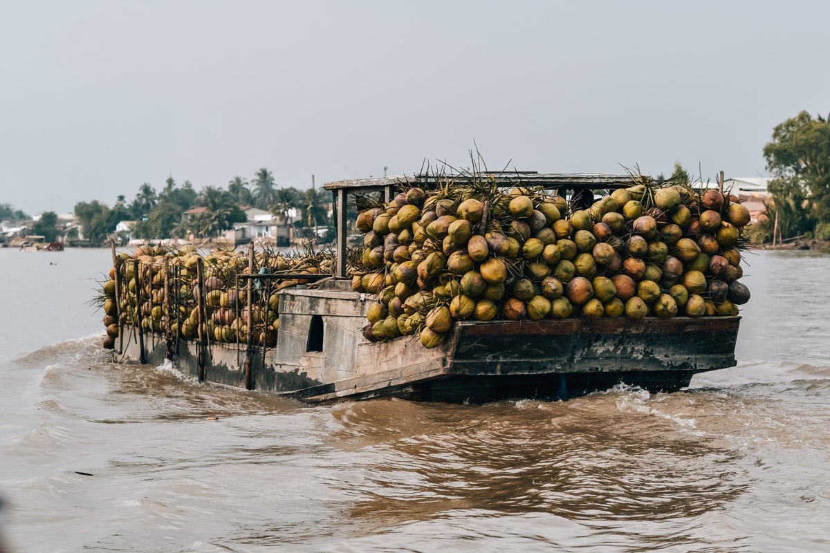 Kokosnüsse Ben Tre
