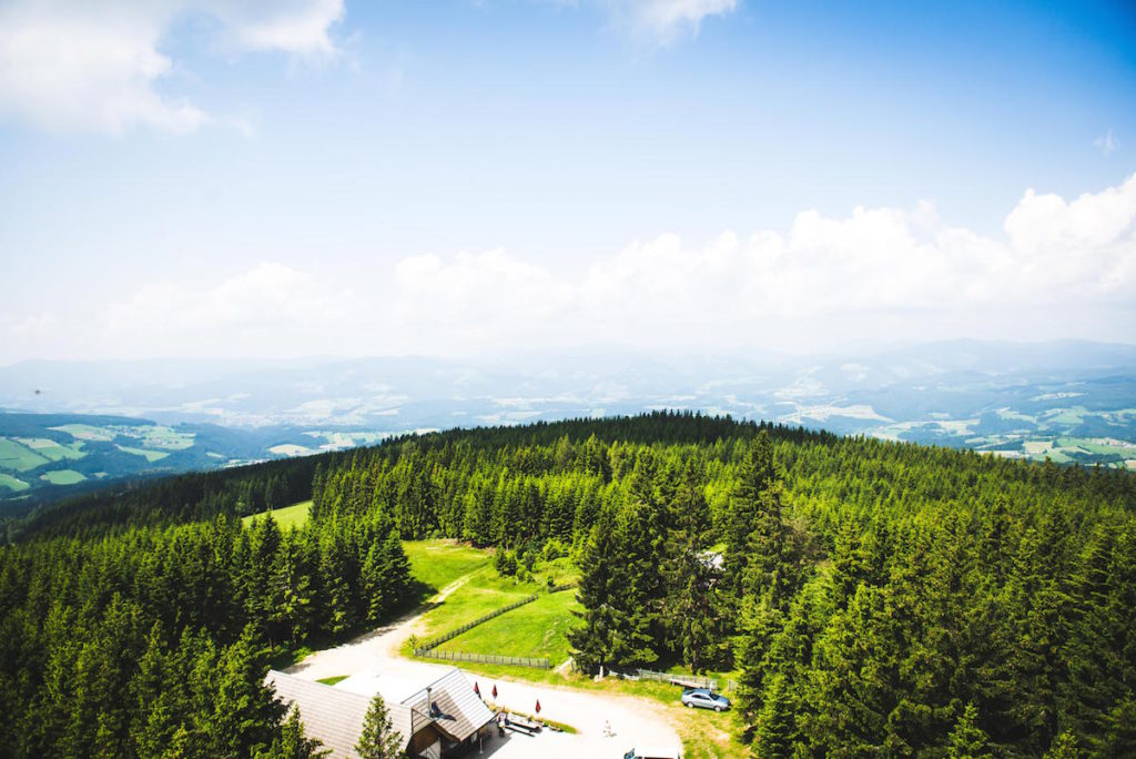 Aussichtswarte Wildwiese