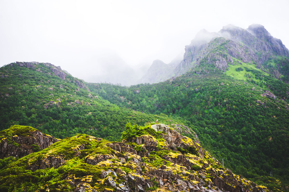 Norwegen-Nebellandschaft