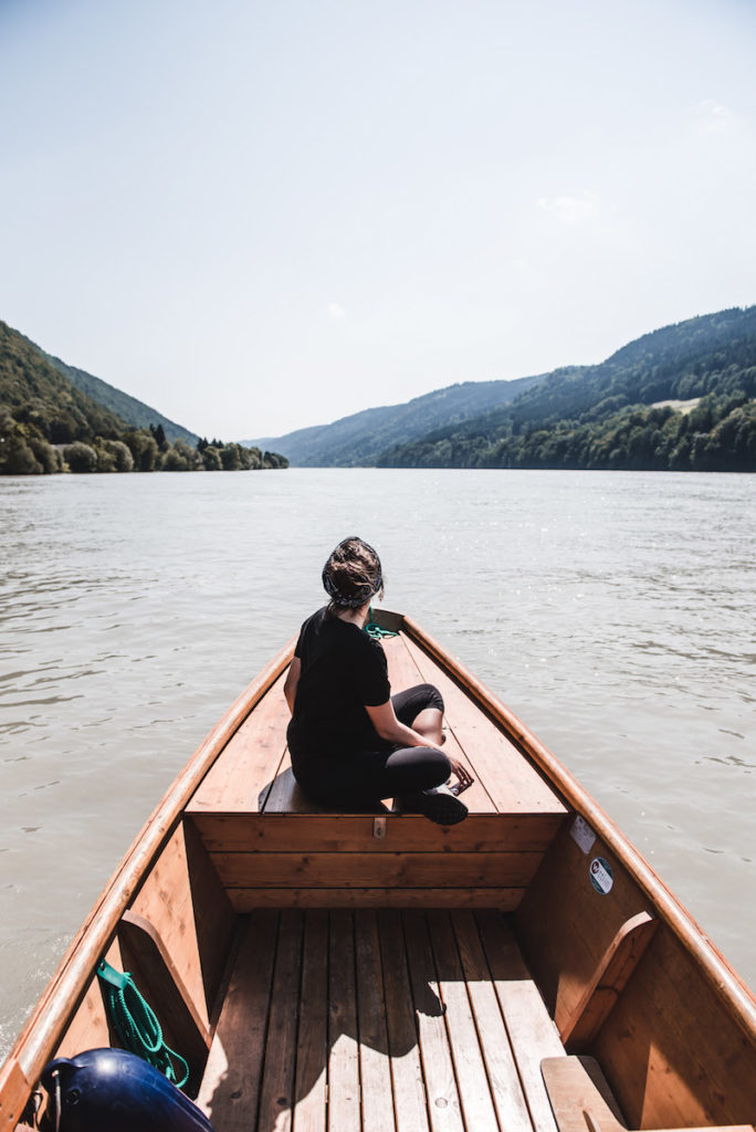 Zille Witti Ausborgen