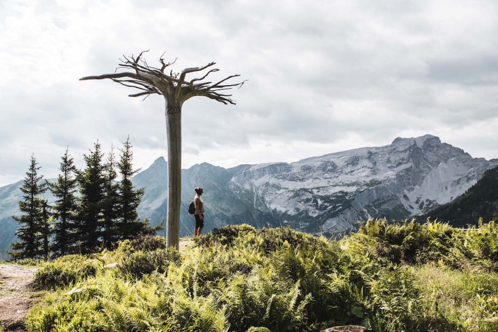 Gauertaler Alpkultour