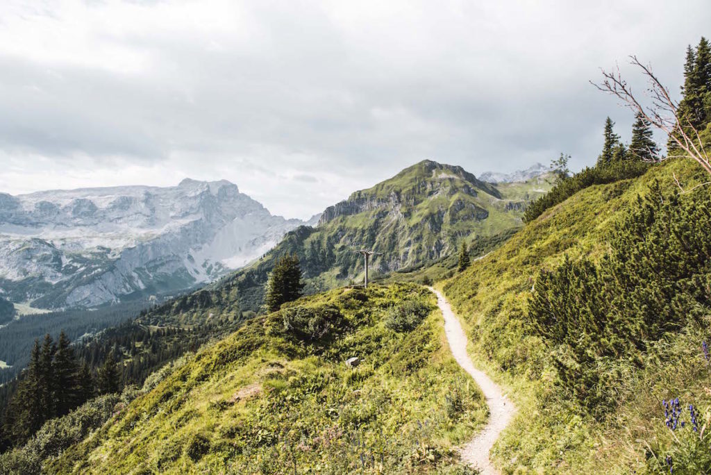 Gauertaler Alpkultour Erfahrungen