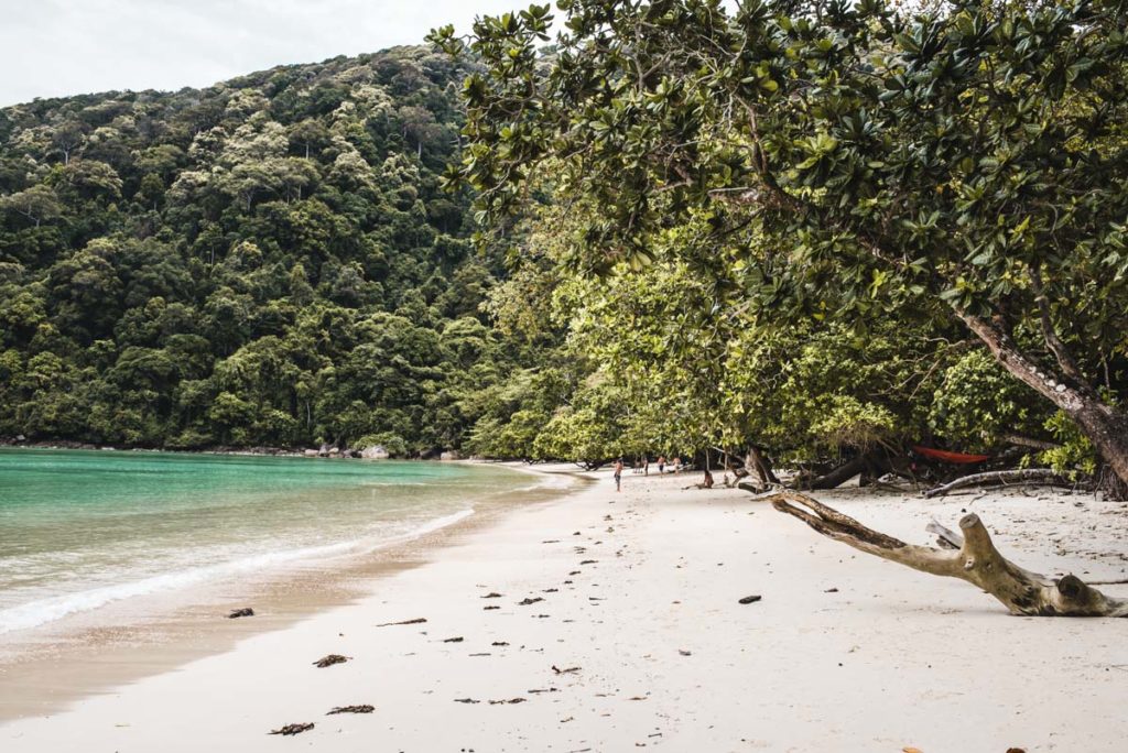 Surin Islands Ausflug