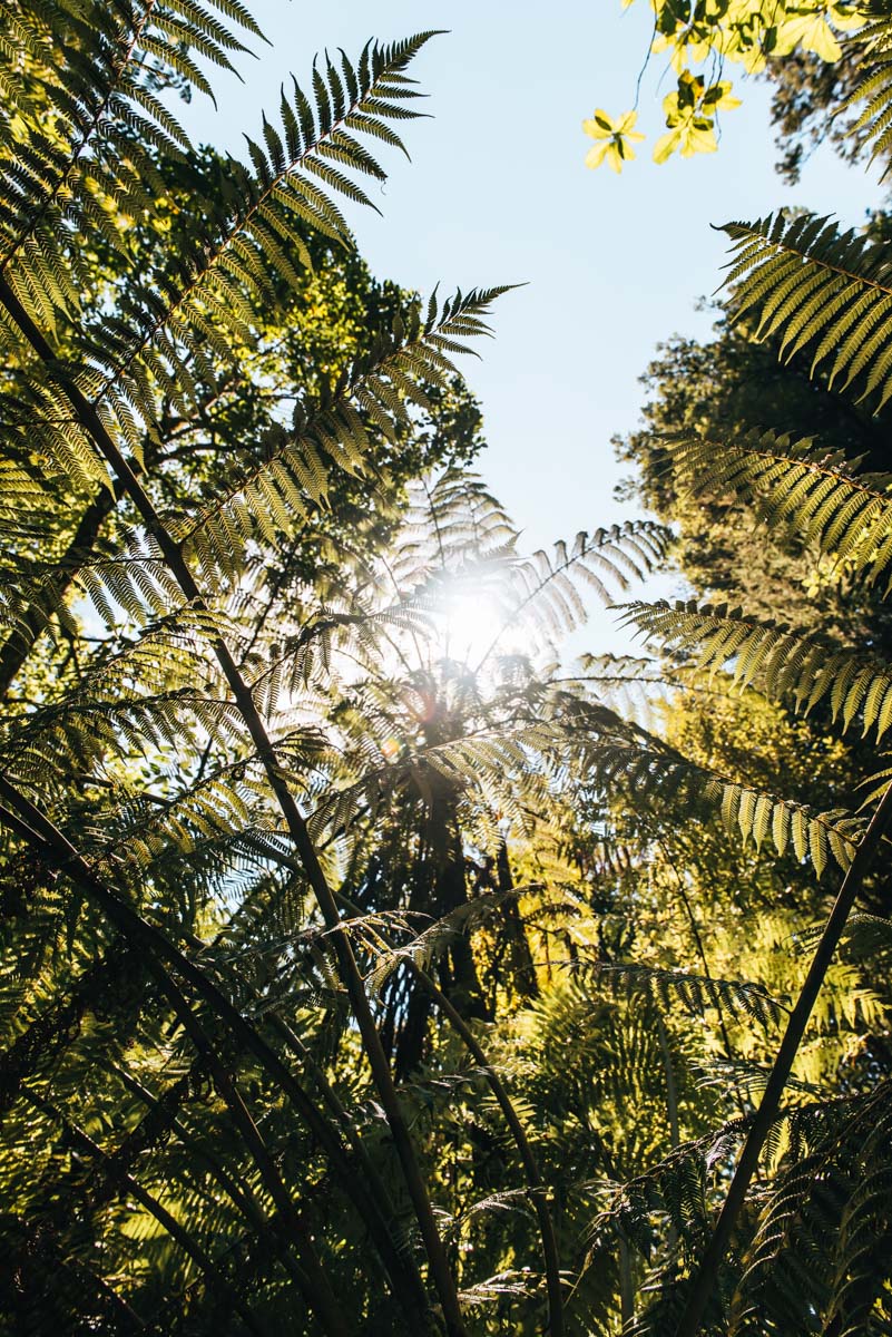 Abel Tasman National Park Tips