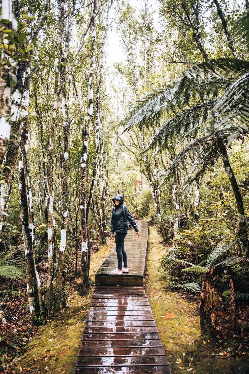 Taupo thermal spring