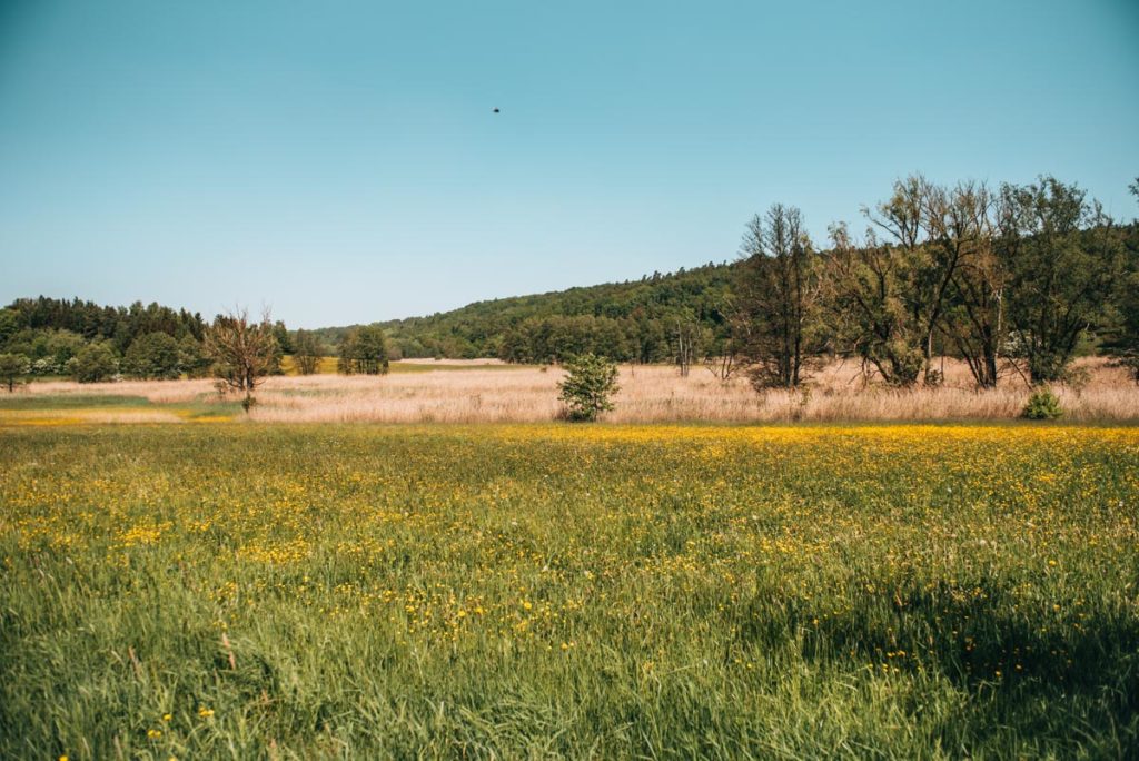 Scheerweiher Ansbach