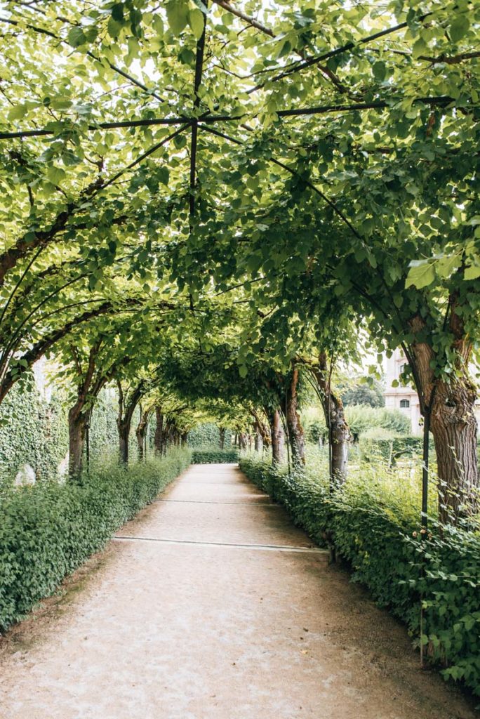 Hofgarten Würzburg Führungen