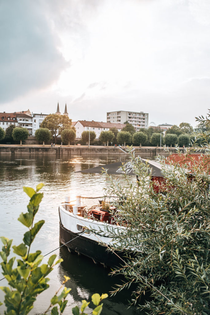 Mainpromenade-Würzburg Sonnenuntergang