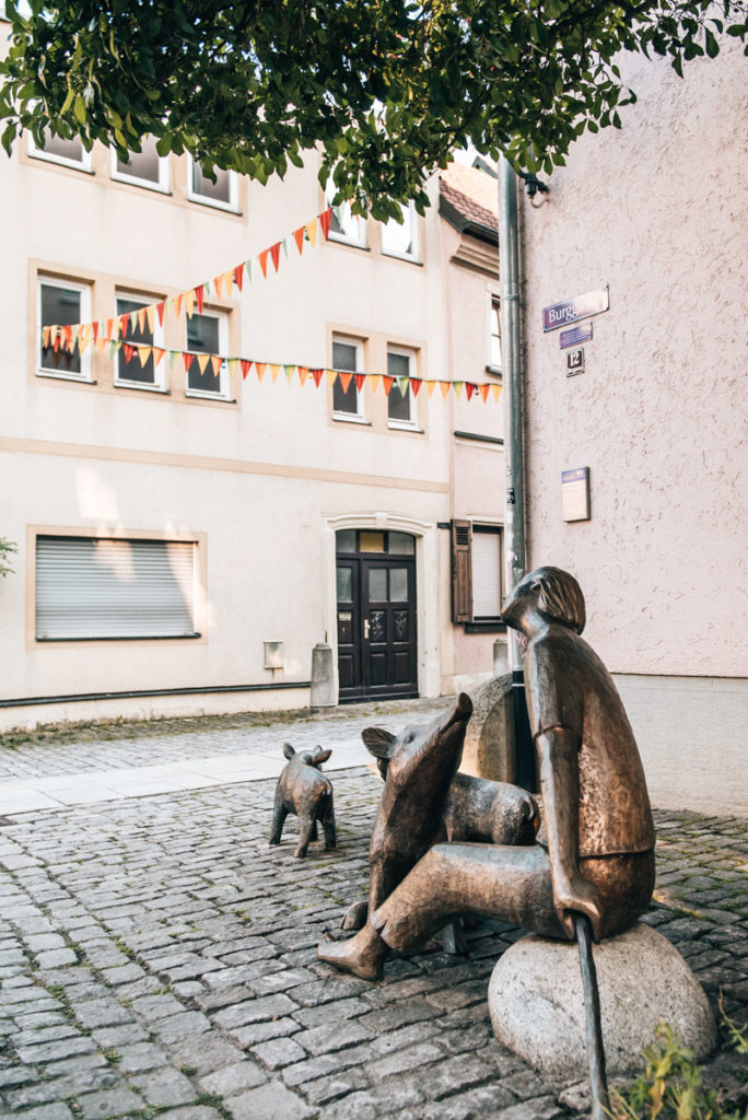 Schweine Nase Schweinfurt