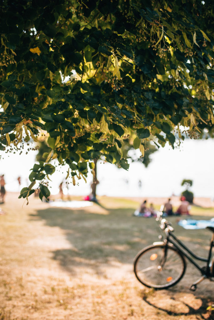 Schweinfurt Baggersee Schwimmen
