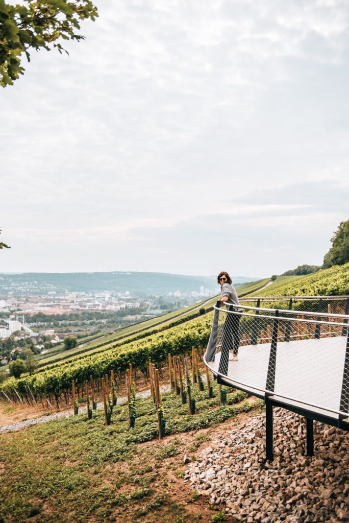 Steinweinpfad Aussicht