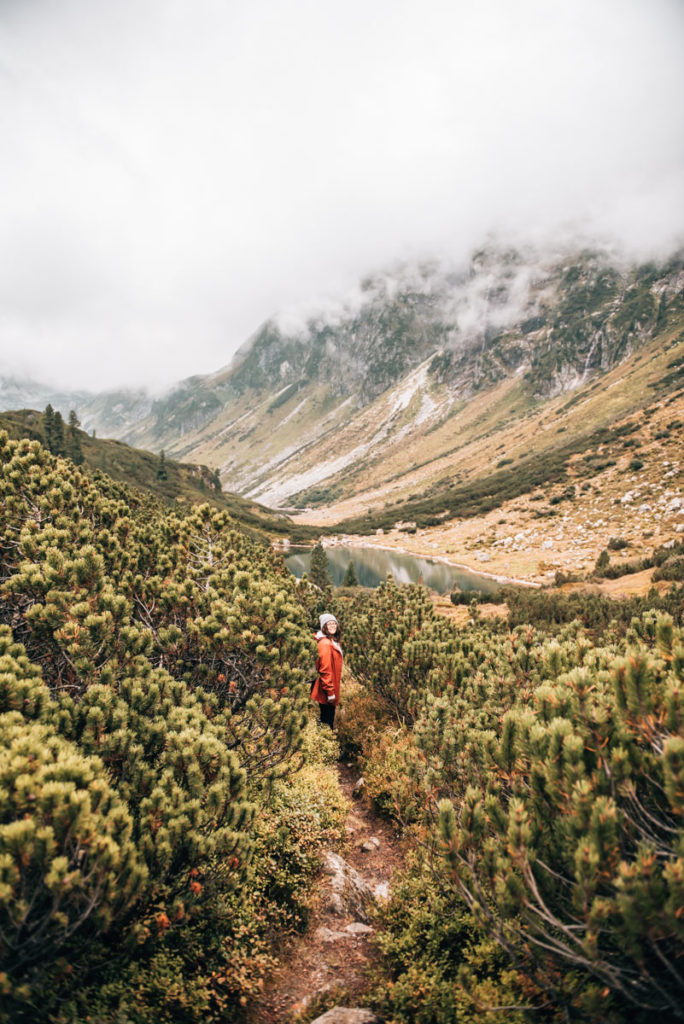 Wanderung Wiegenwald