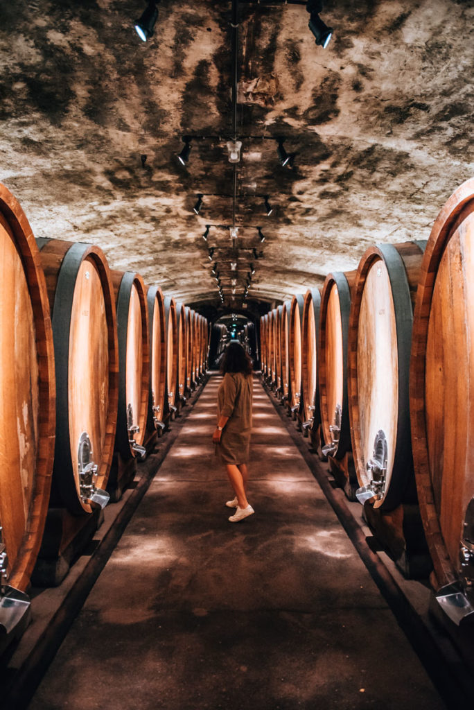 Weinkeller Weingut Juliusspital