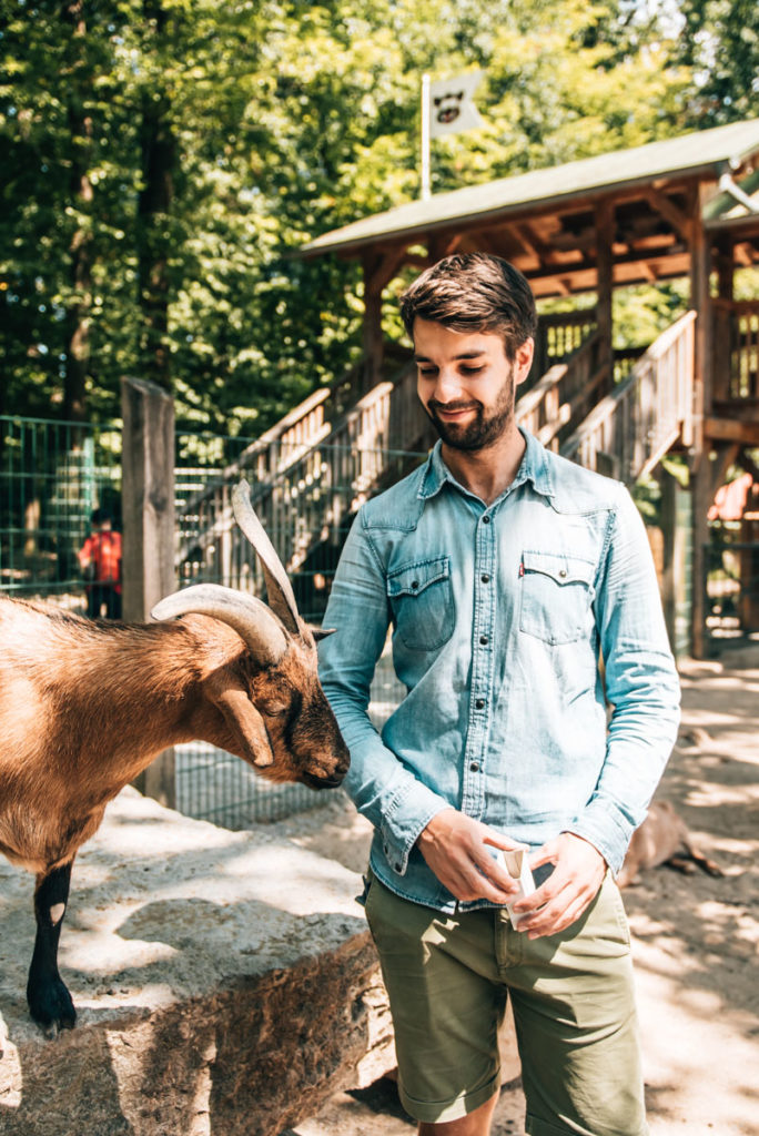 Wildpark Schweinfurt