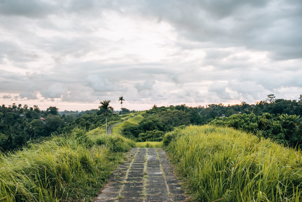 Campuhan Ridge Walk Ubud