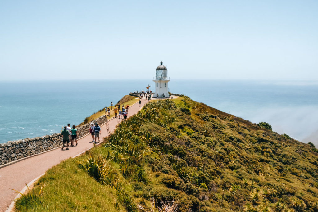 Cape Reinga from Auckland