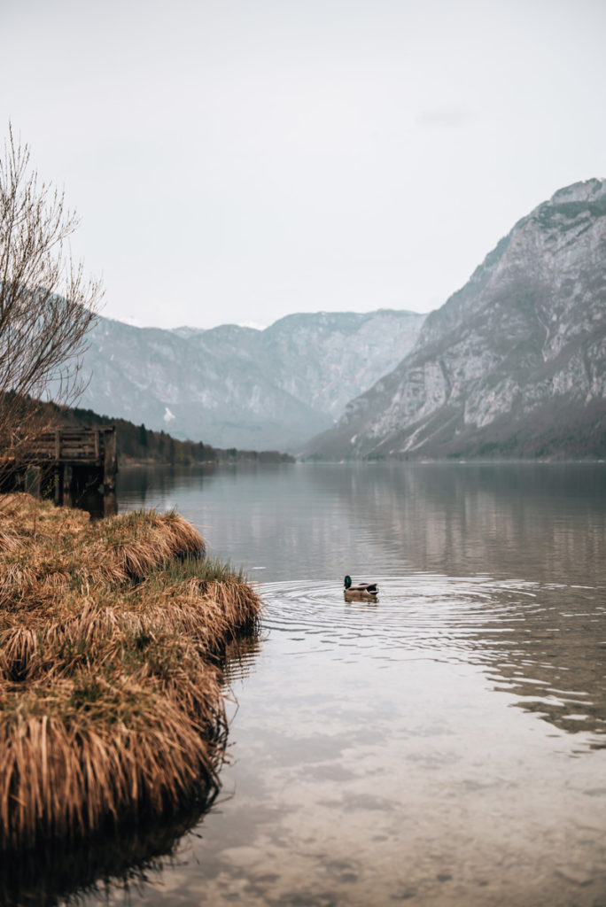 Lake Bohinj