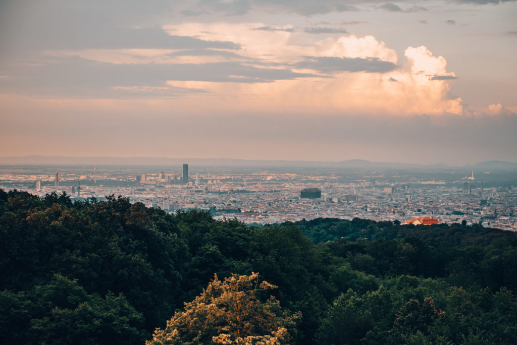 Ausblick Jubiläumswarte Wien