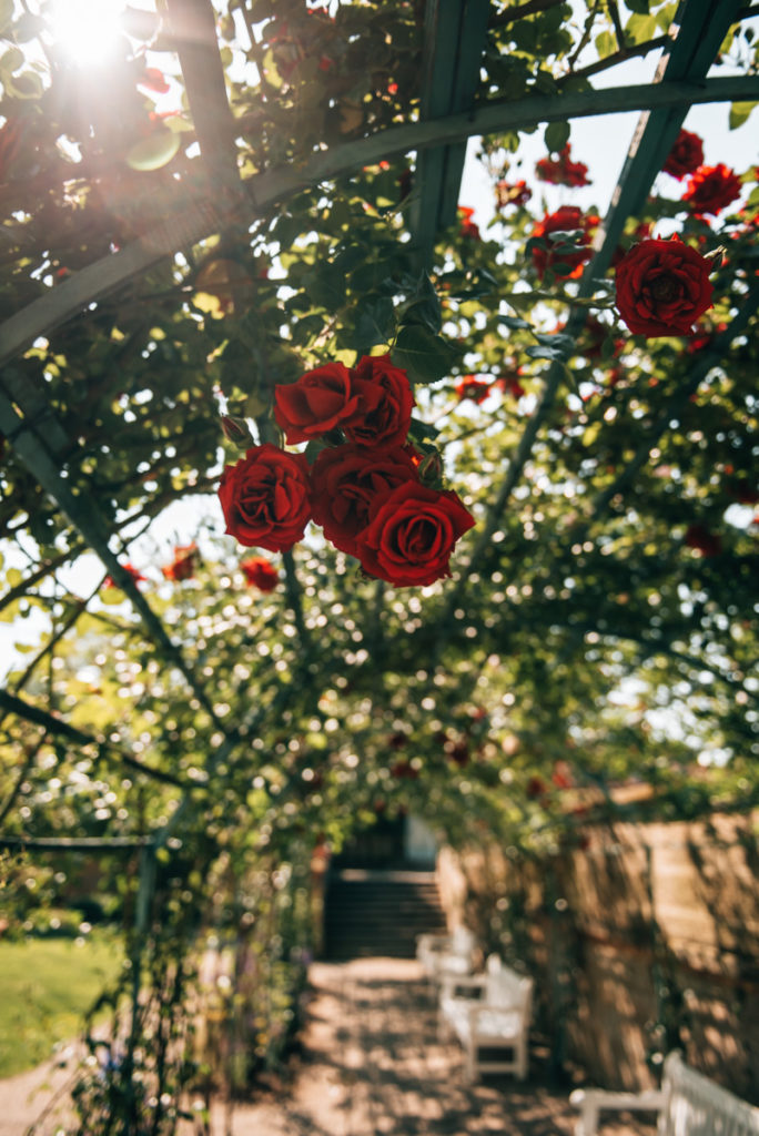 Ludwigsburg Gartenschau