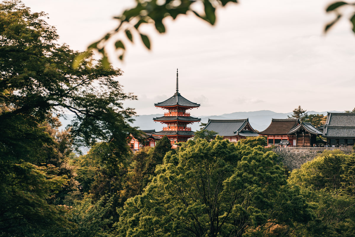 Kyoto Travel Tips