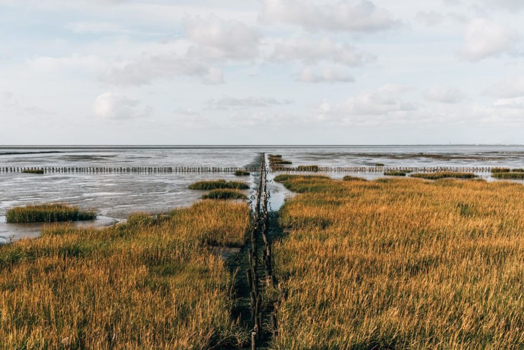 Trischendamm Friedrichskoog