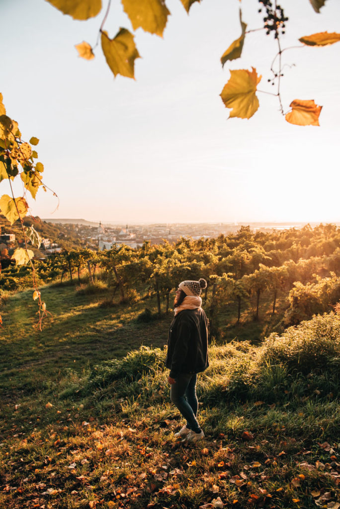 Schreckberg Krems Tipps