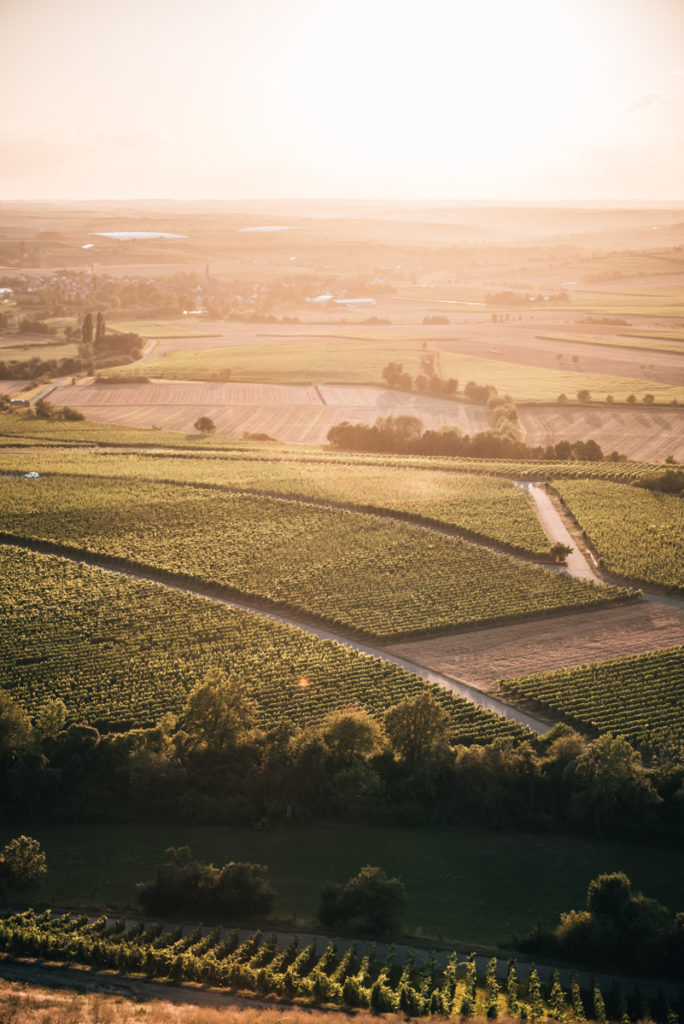 Hüttenheim Franken Wein