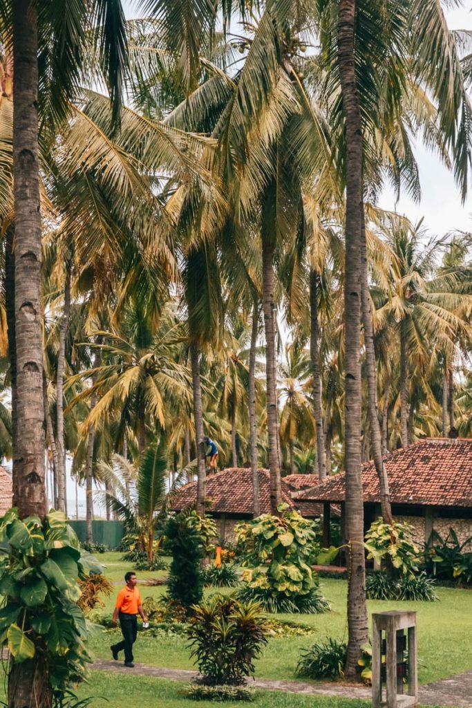 Banyuwangi Hotel Tipps