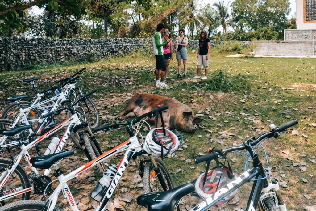 Battambang Bike Tour Tips
