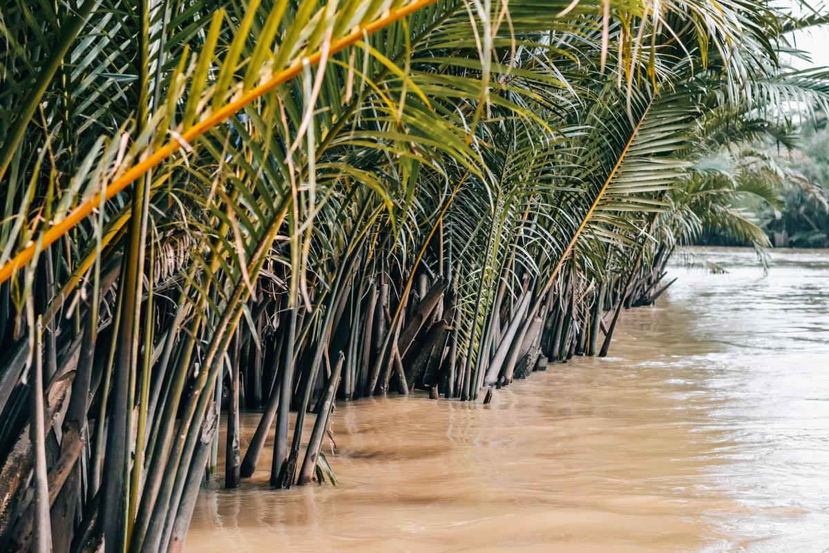 Ben Tre Tipps