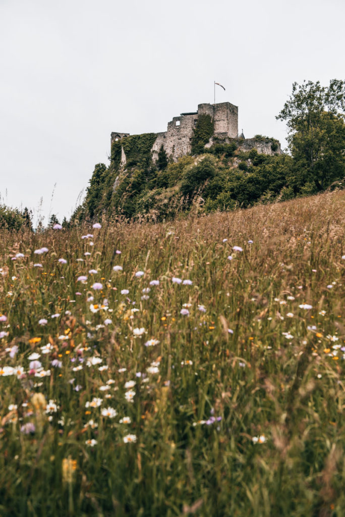 Burgruine Finkenstein