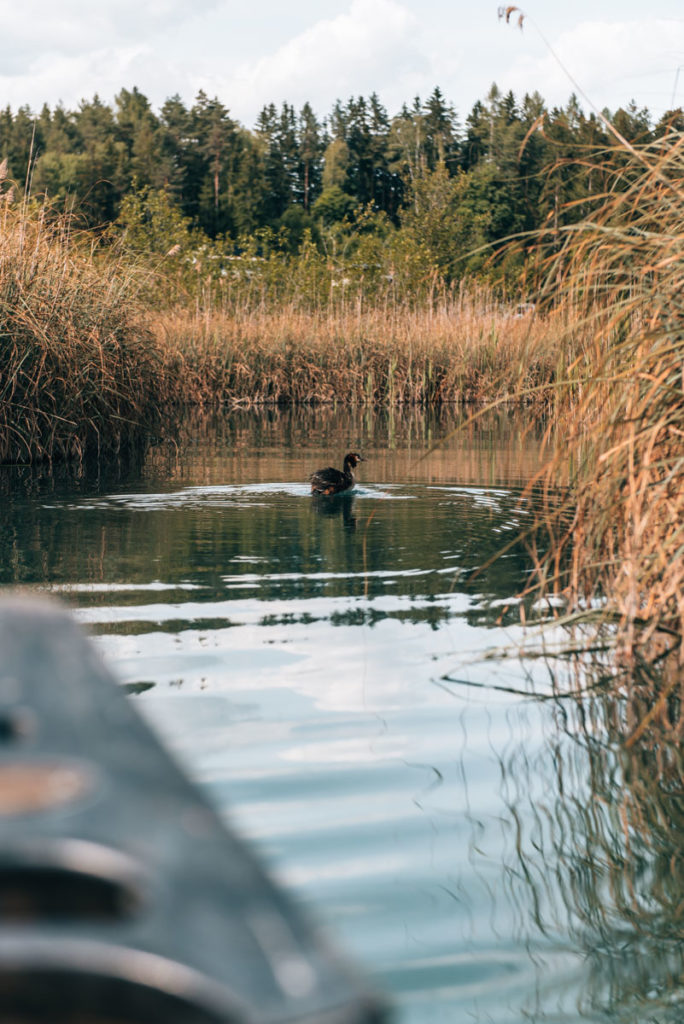 Faaker See Kanu ausborgen