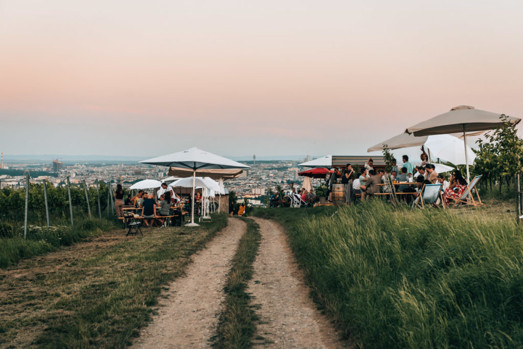 Monte Nucum Nussberg