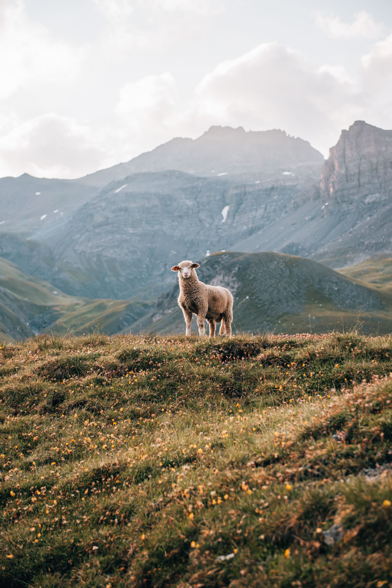 Lai da Rims Val Müstair