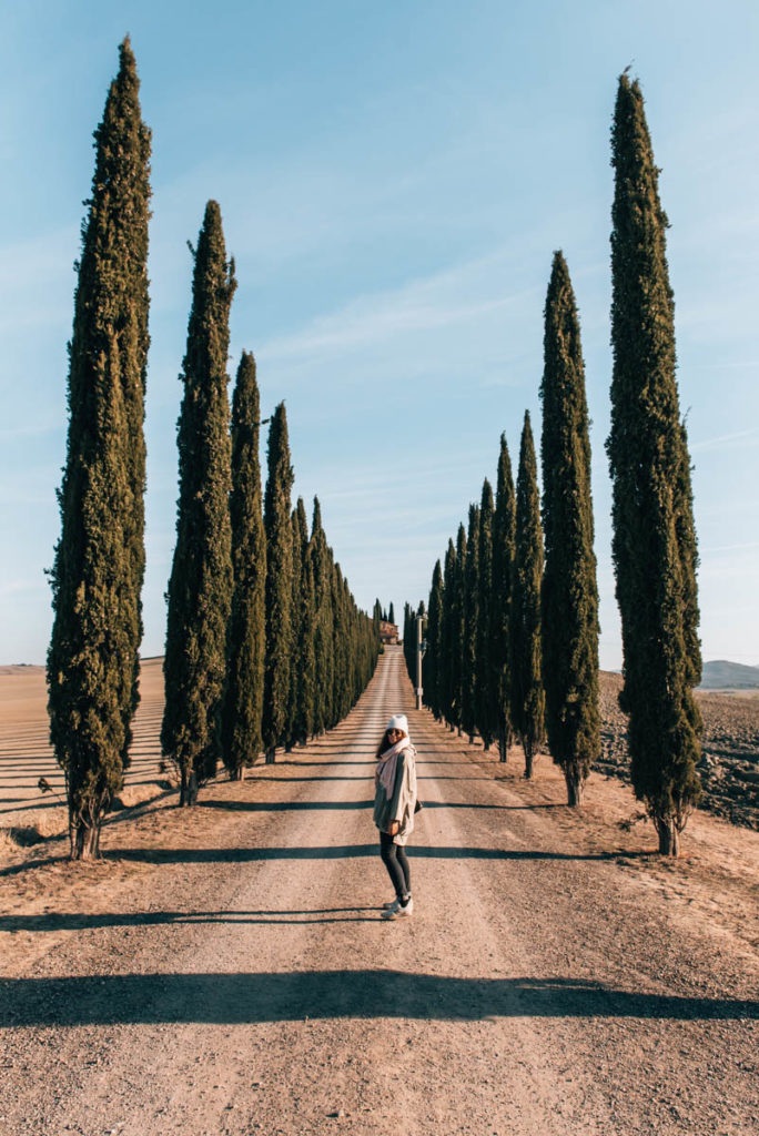 Val d Orcia Cypress Avenue