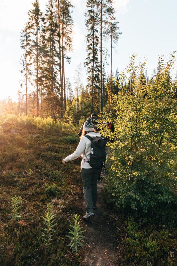 Finnland Bärenbeobachtung