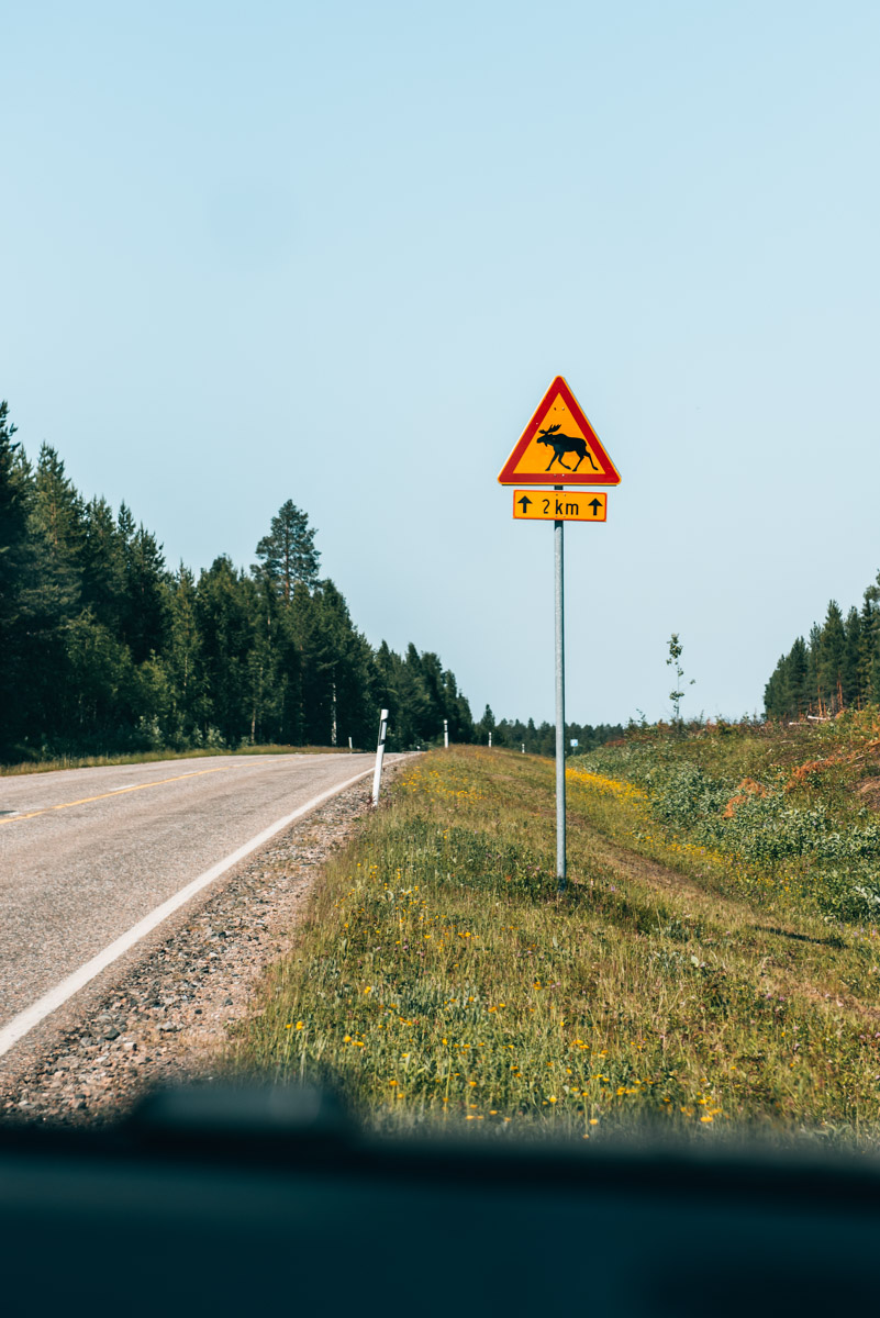 Rentiere Finnland Schild