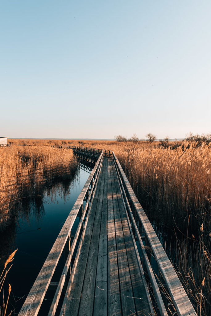 Nationalpark Neusiedler See Tipps