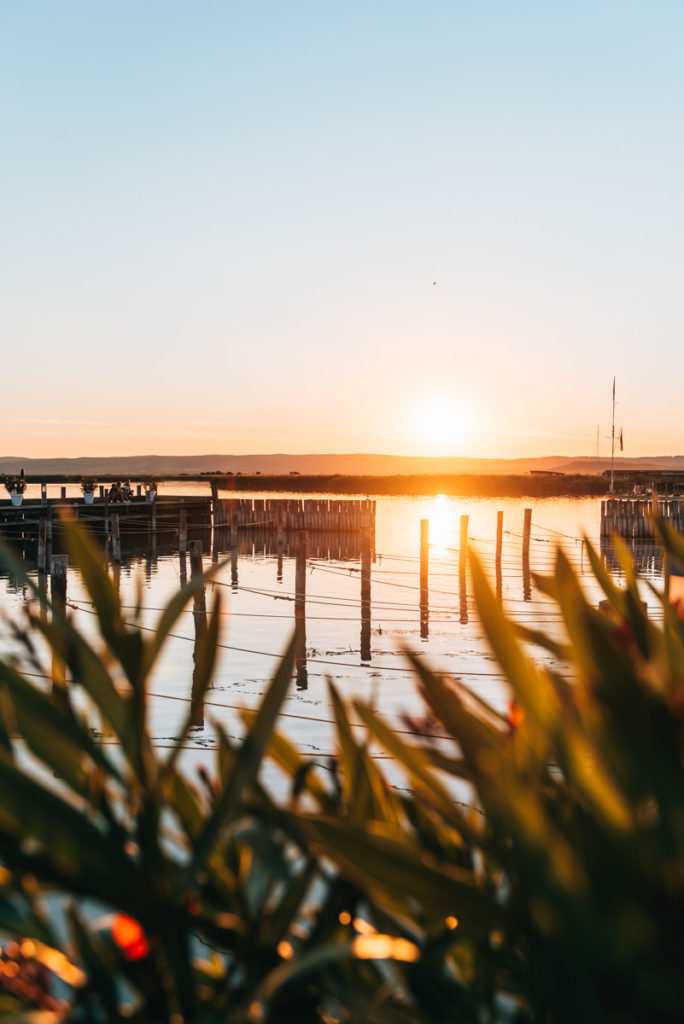 Neusiedler See Sonnenuntergang
