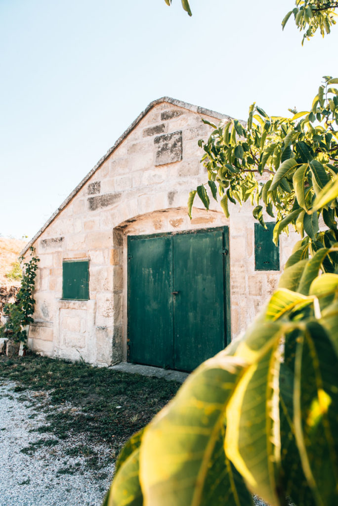Neusiedlersee Burgenland