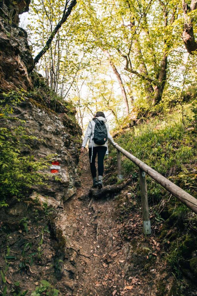 Nationalpark Thayatal Waldviertel