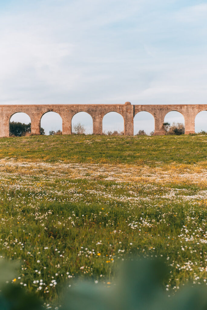 Evora Aqueduct