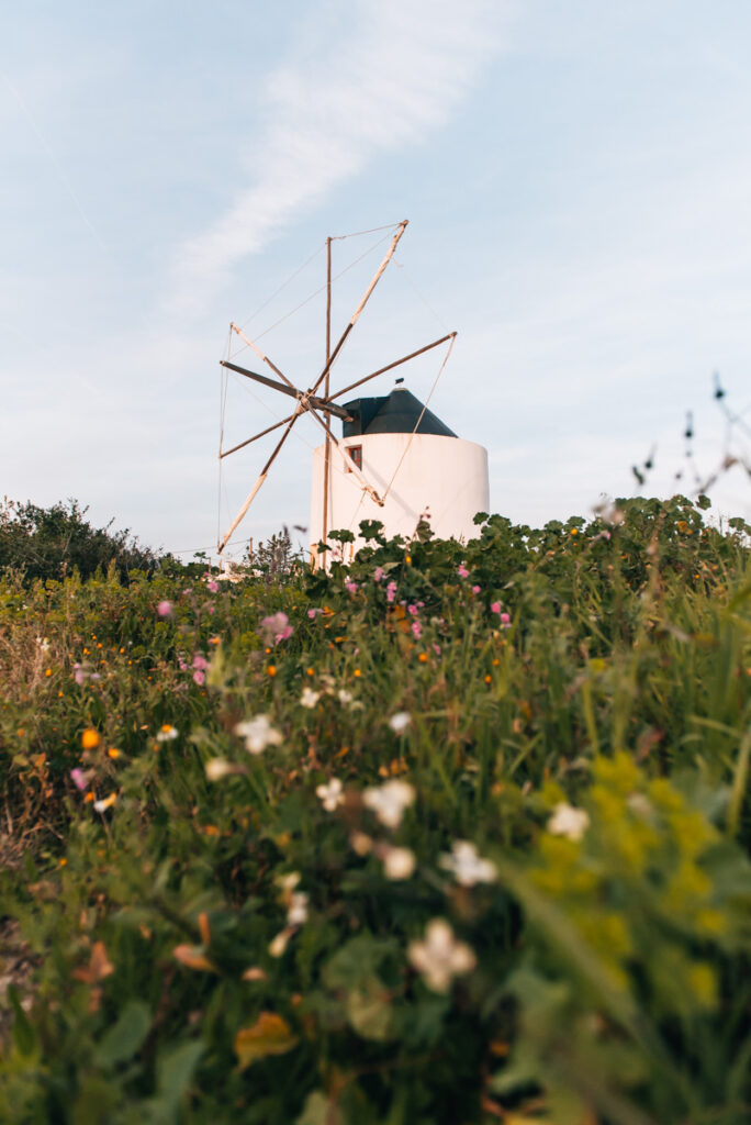 Evora windmills