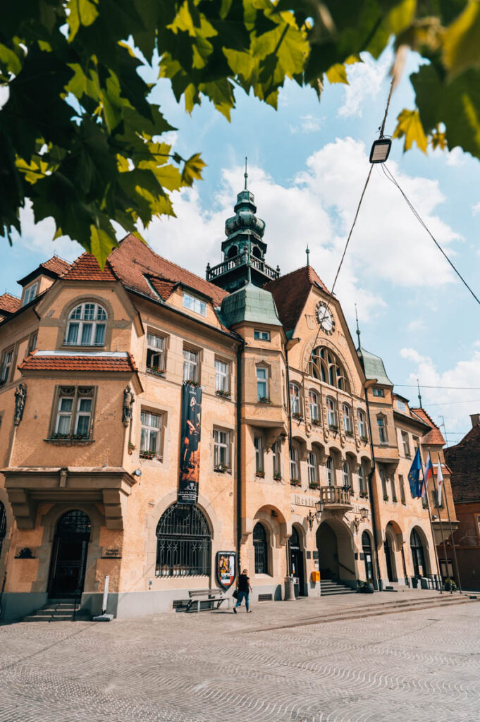 Ptuj Rathaus