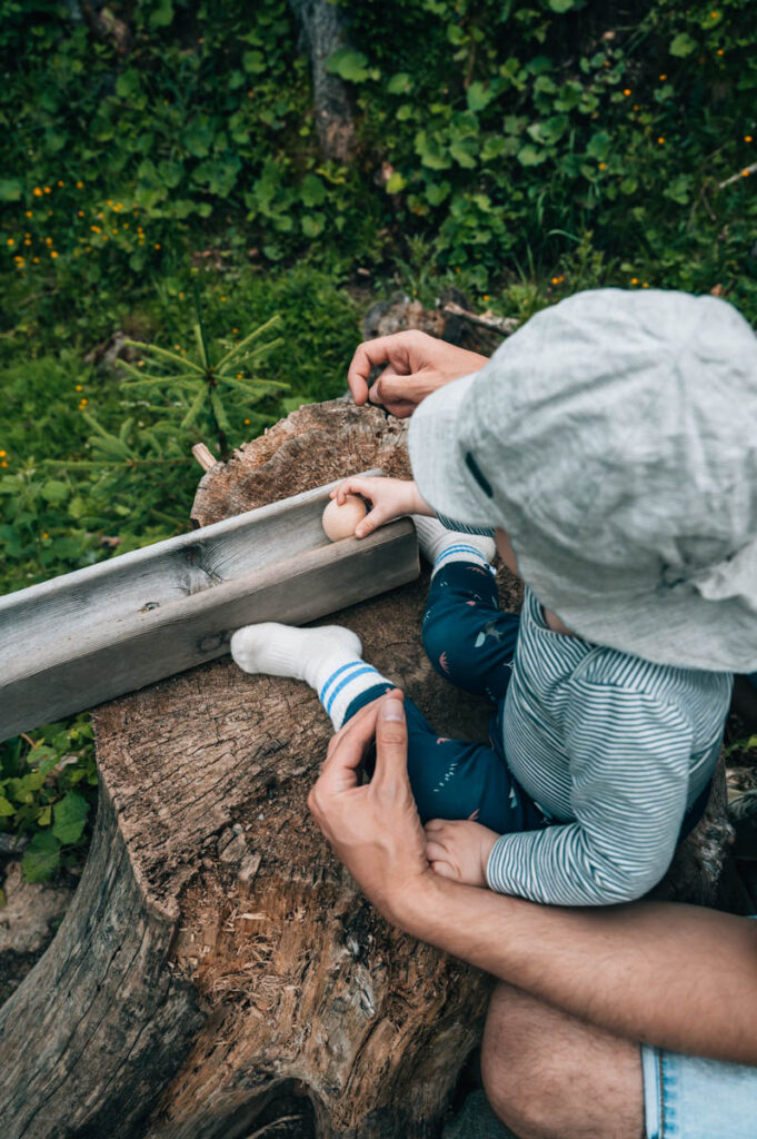 Serfaus Fiss Ladis Holzkugelweg