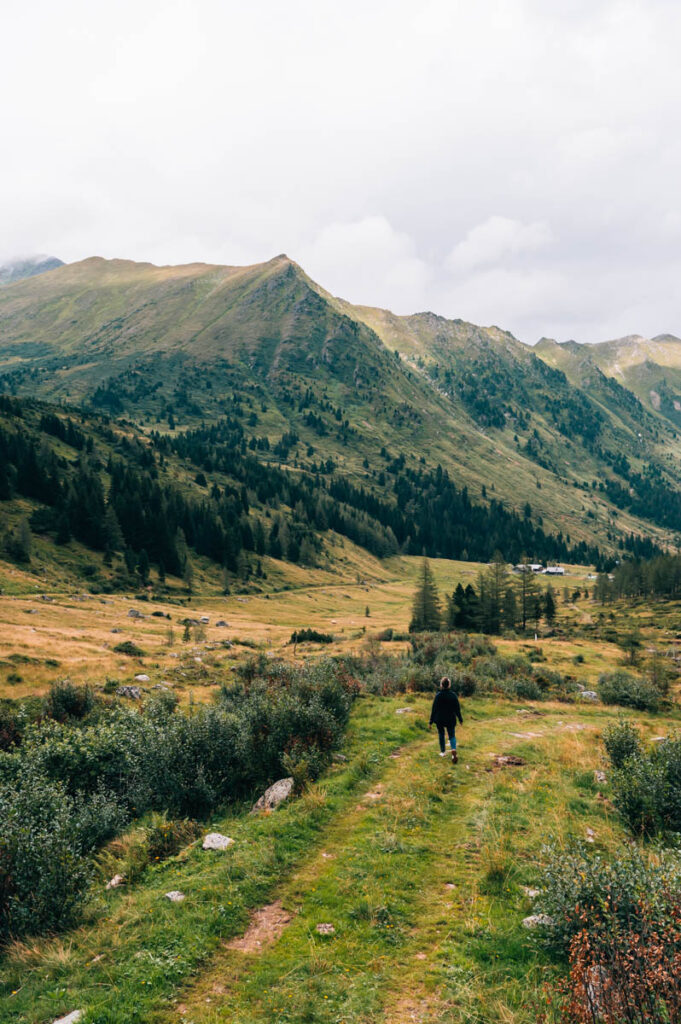 Eselsberger Alm Steiermark