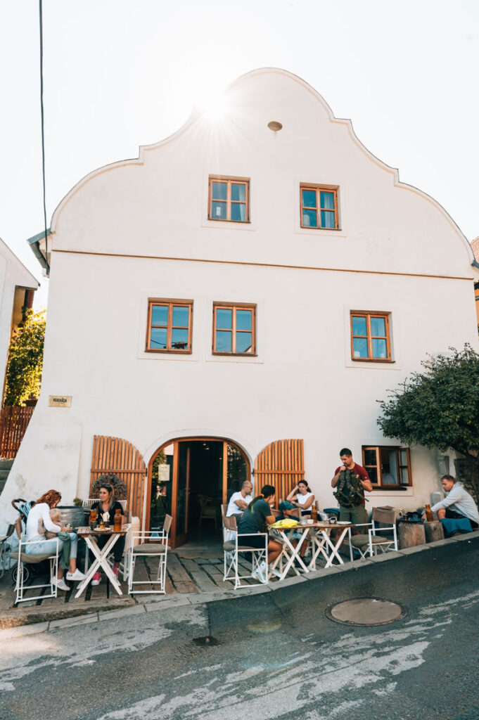 Marinada vinicni dum