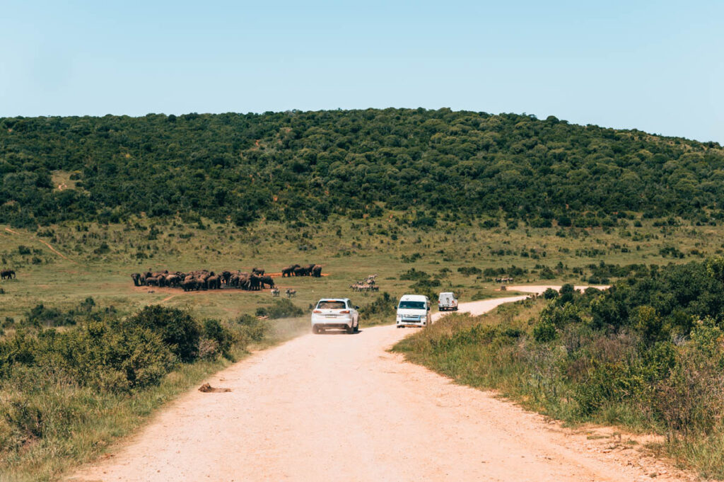 Addo Südafrika Autofahren