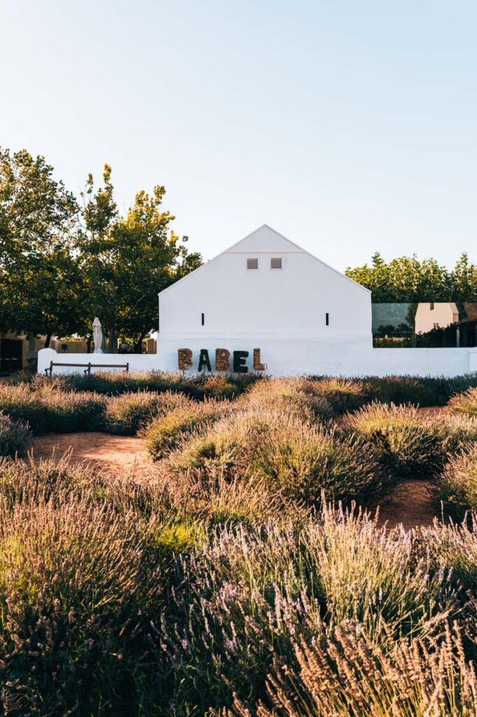 Babylonstoren Babel Restauranr