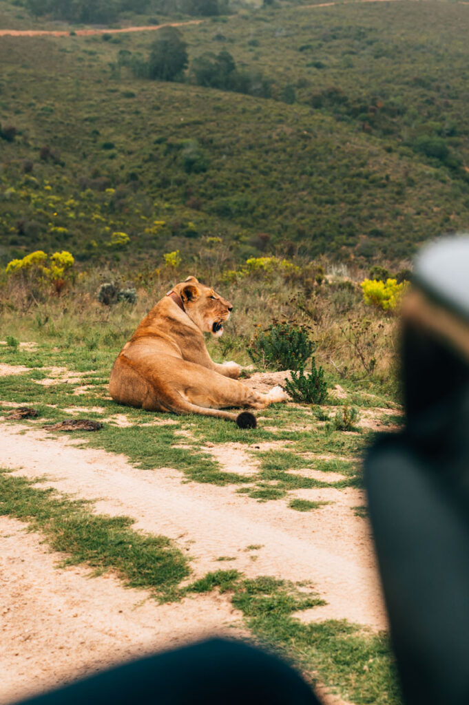 Botlierskop Erfahrungen